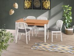 PARİS MASA TAKIMI 4 SANDALYE İLE SET