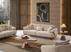 CARLE  KOLTUK TAKIMI